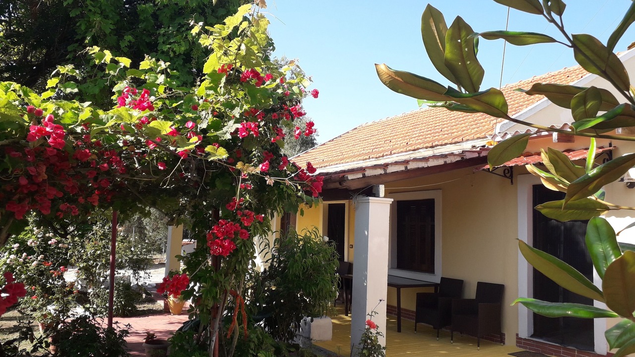 Photo of Others in Afionas