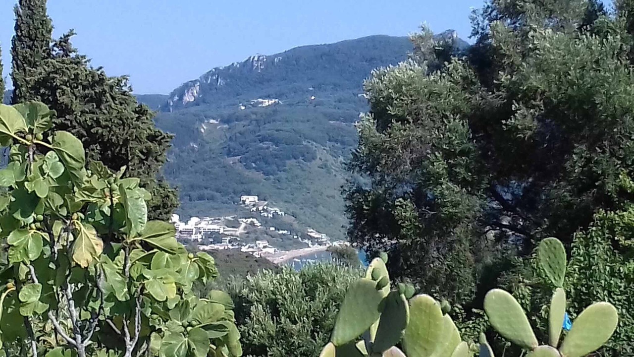 Photo of Others in Afionas