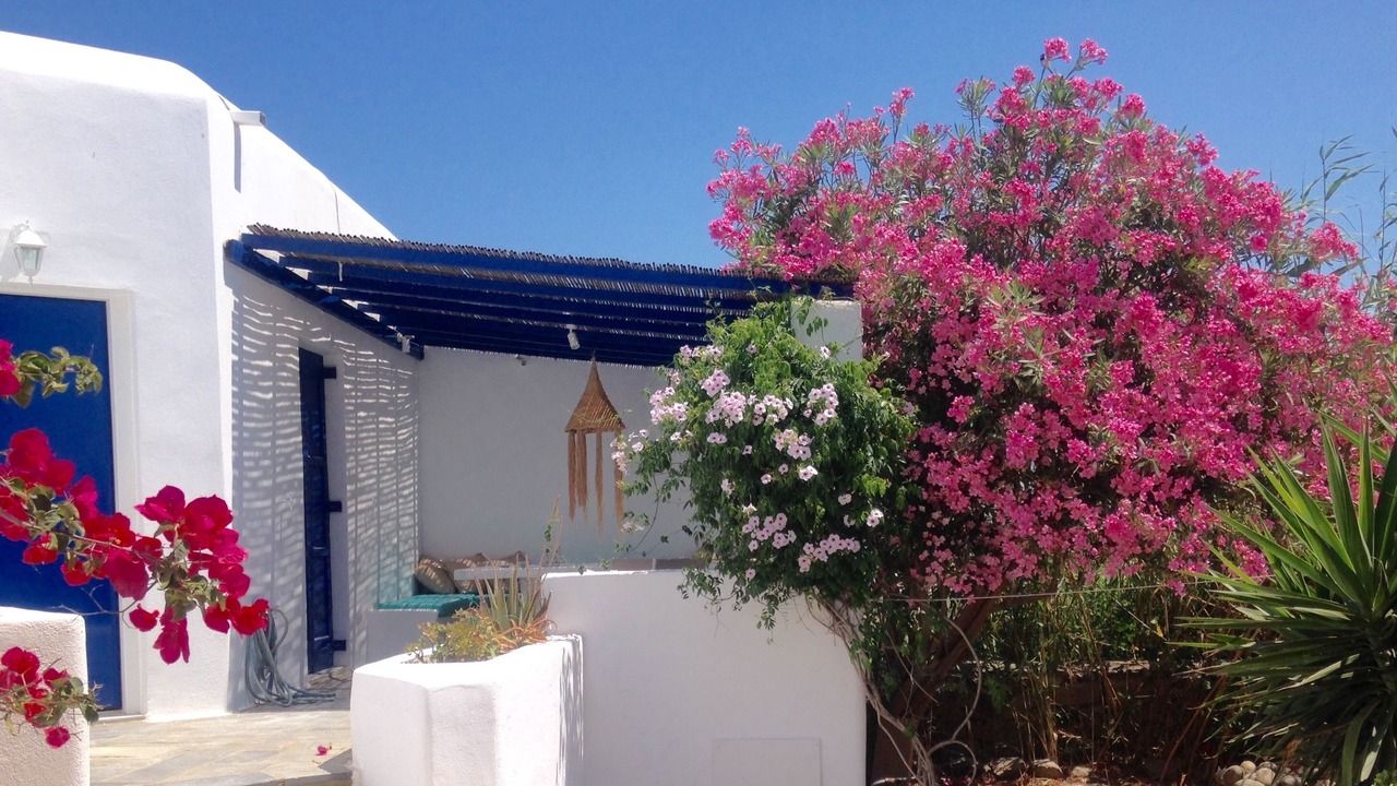 Photo of Outdoor in Ornos