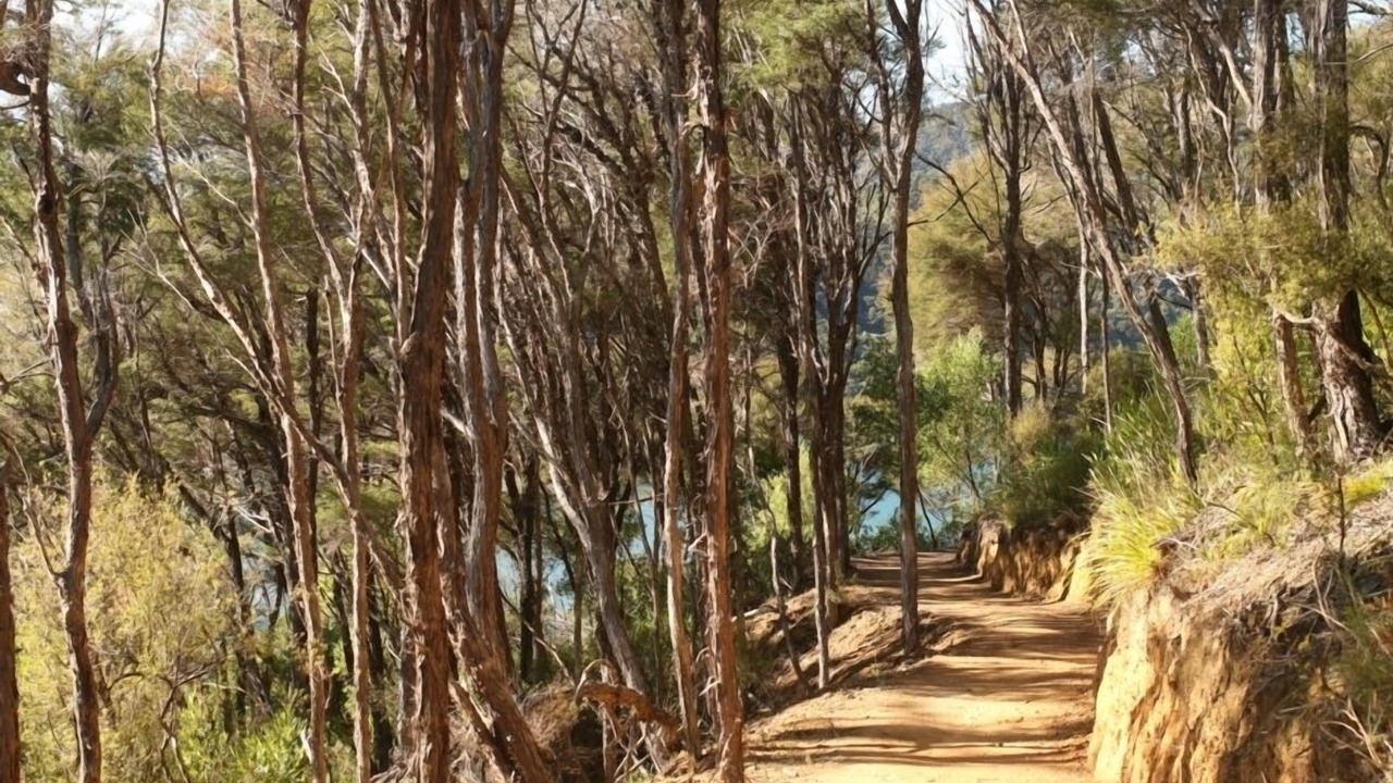 Photo of Others in Ngakuta Bay