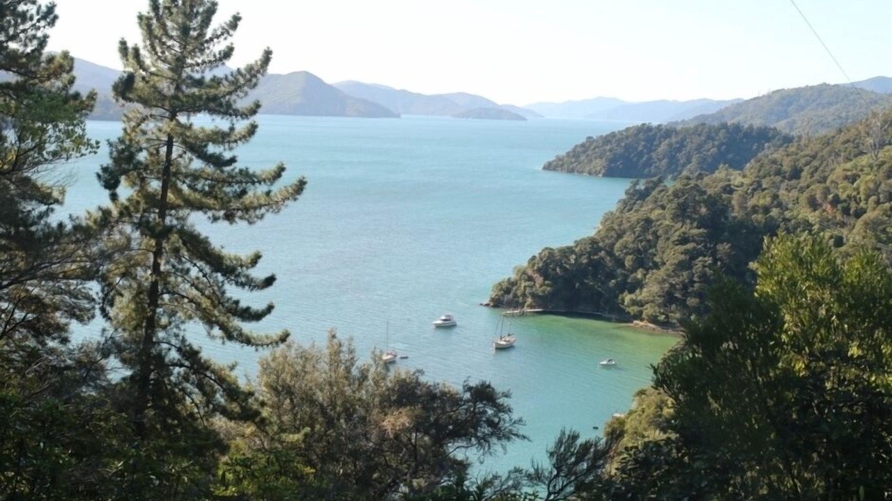 Photo of Others in Ngakuta Bay