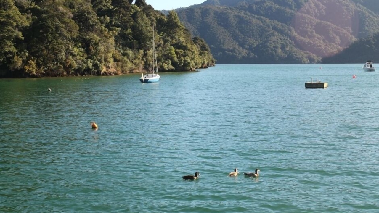 Photo of Others in Ngakuta Bay