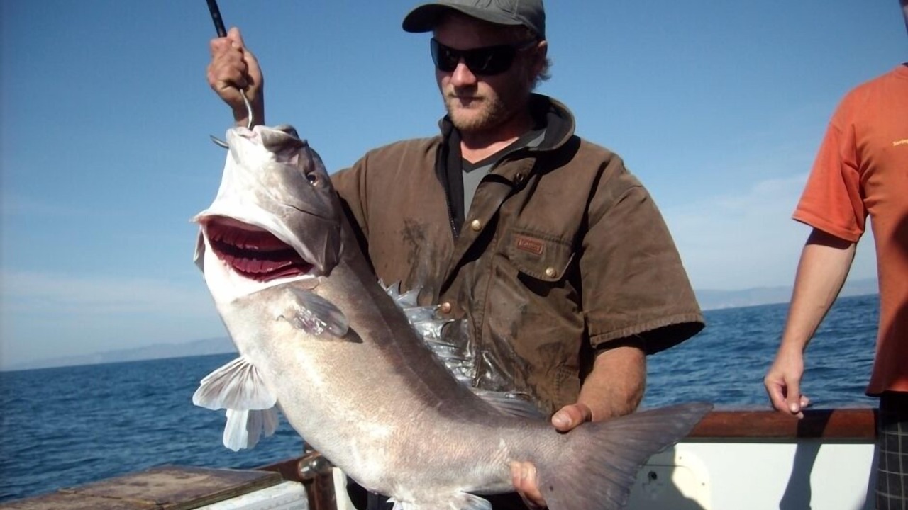 Photo of Others in Gisborne Region