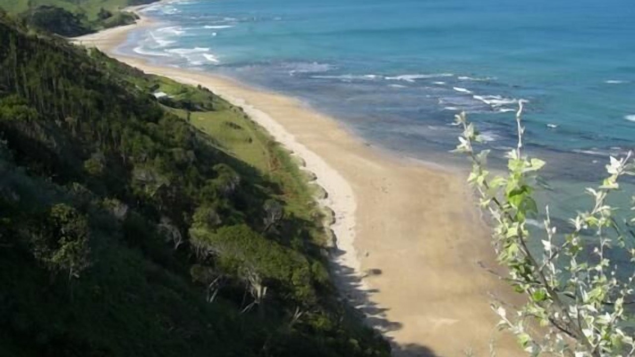 Photo of Others in Gisborne Region