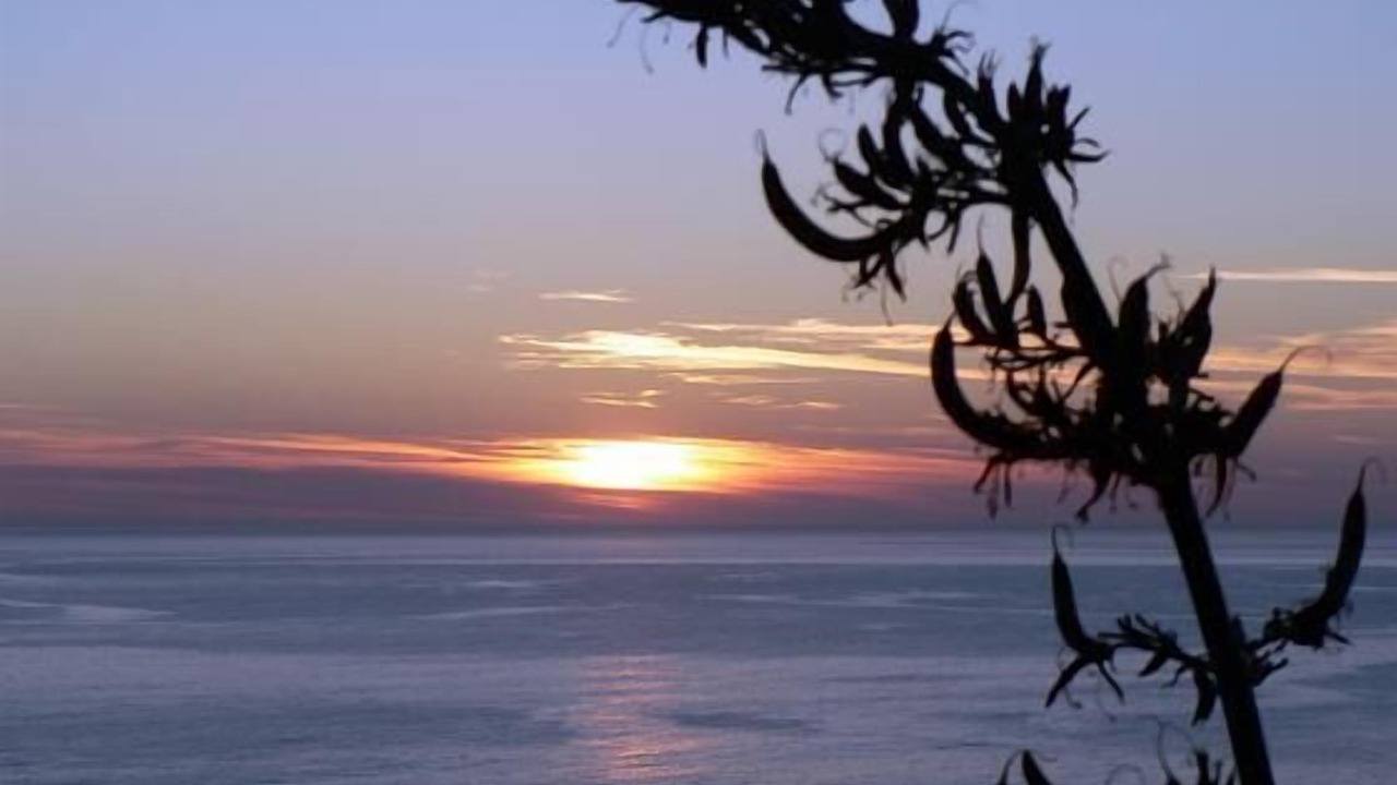 Photo of Others in Gisborne Region