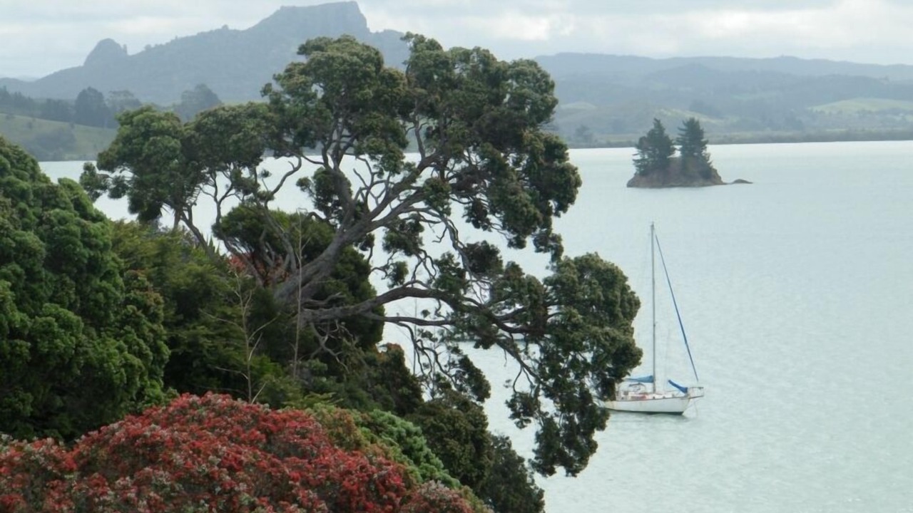 Photo of Others in Whangaroa