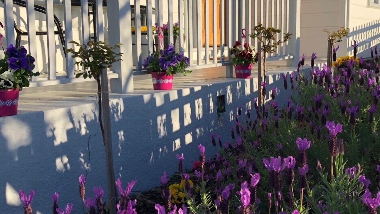 Photo of Outdoor in West Launceston