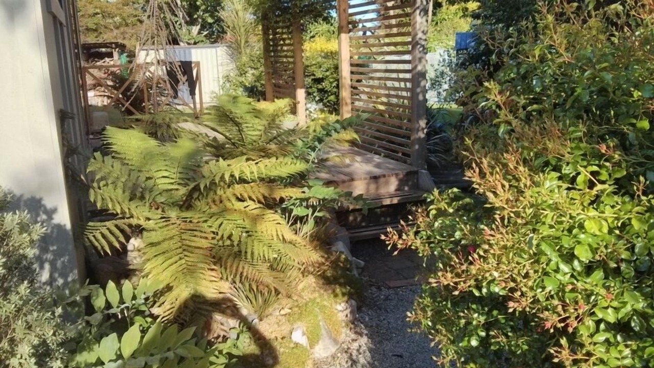 Photo of Others in Riwaka