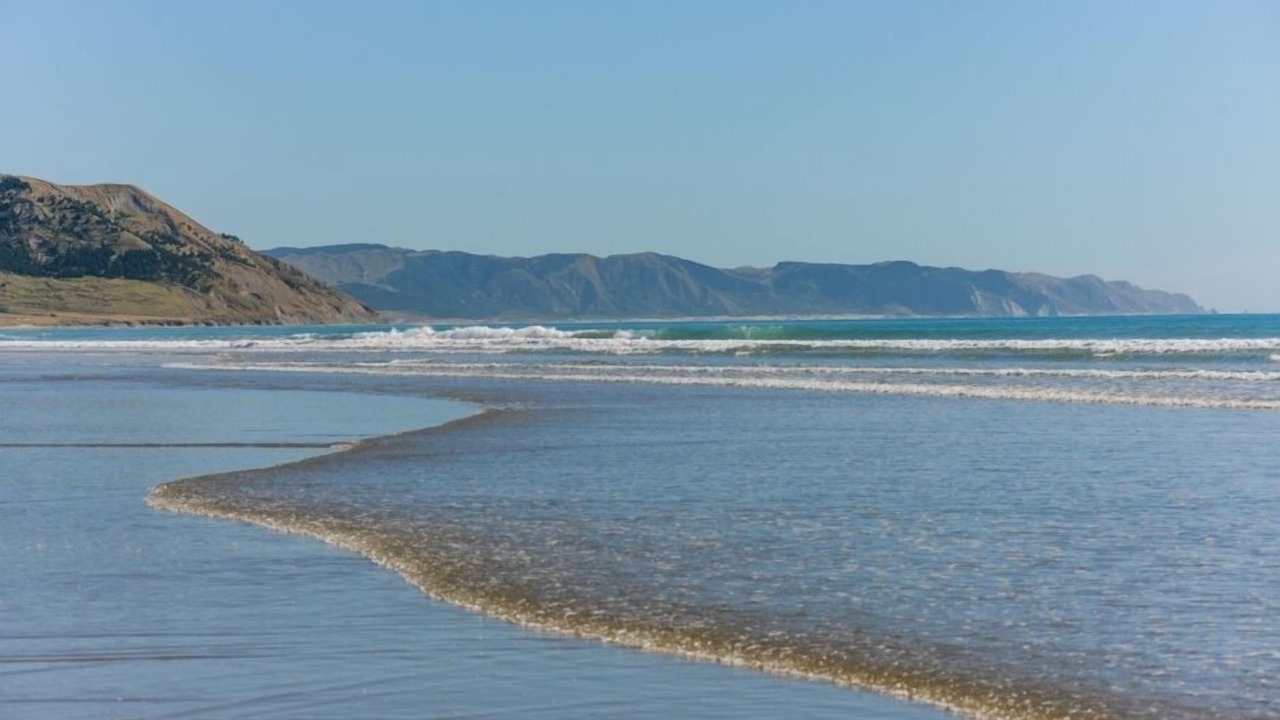 Photo of Others in Waimarama