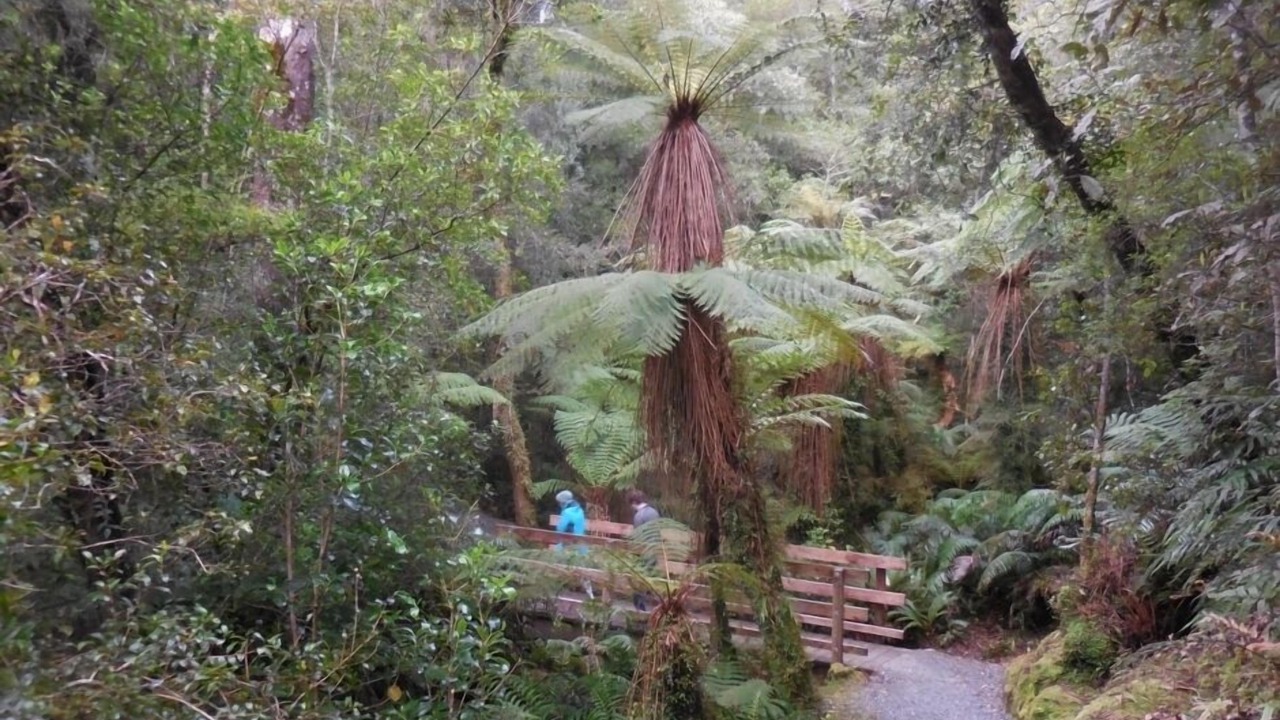 Photo of Others in West Coast