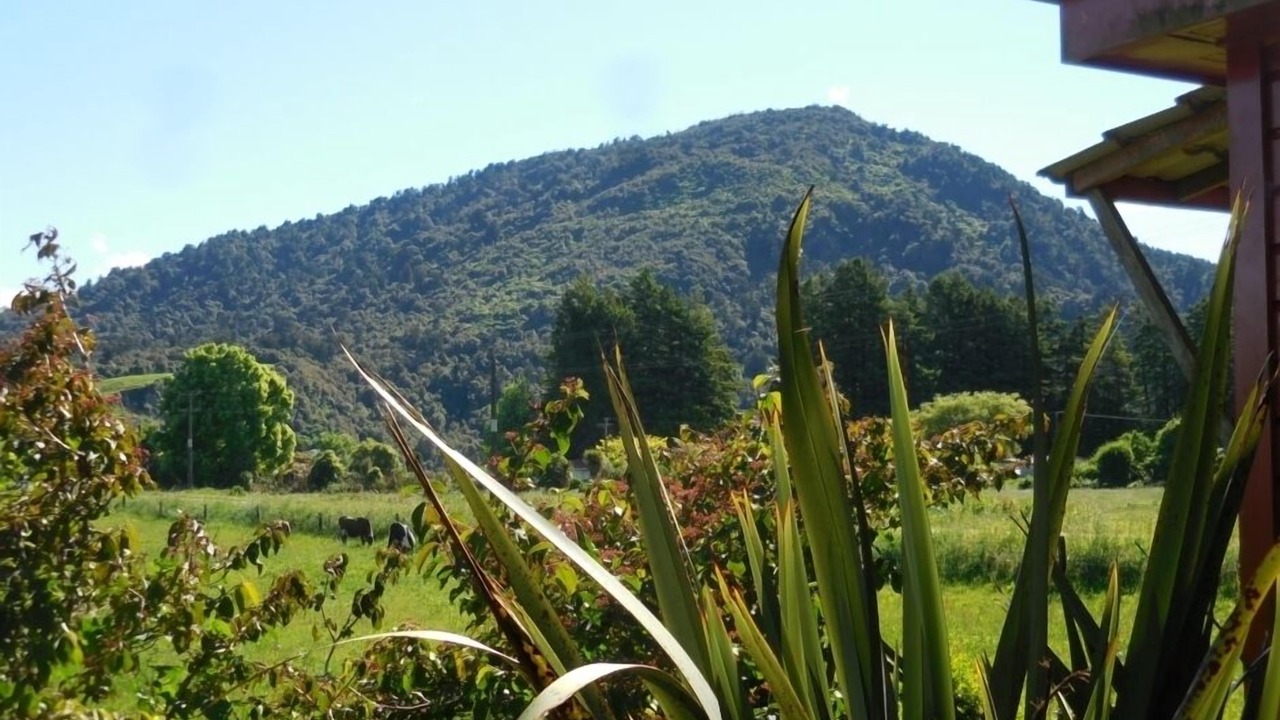 Photo of Outdoor in West Coast