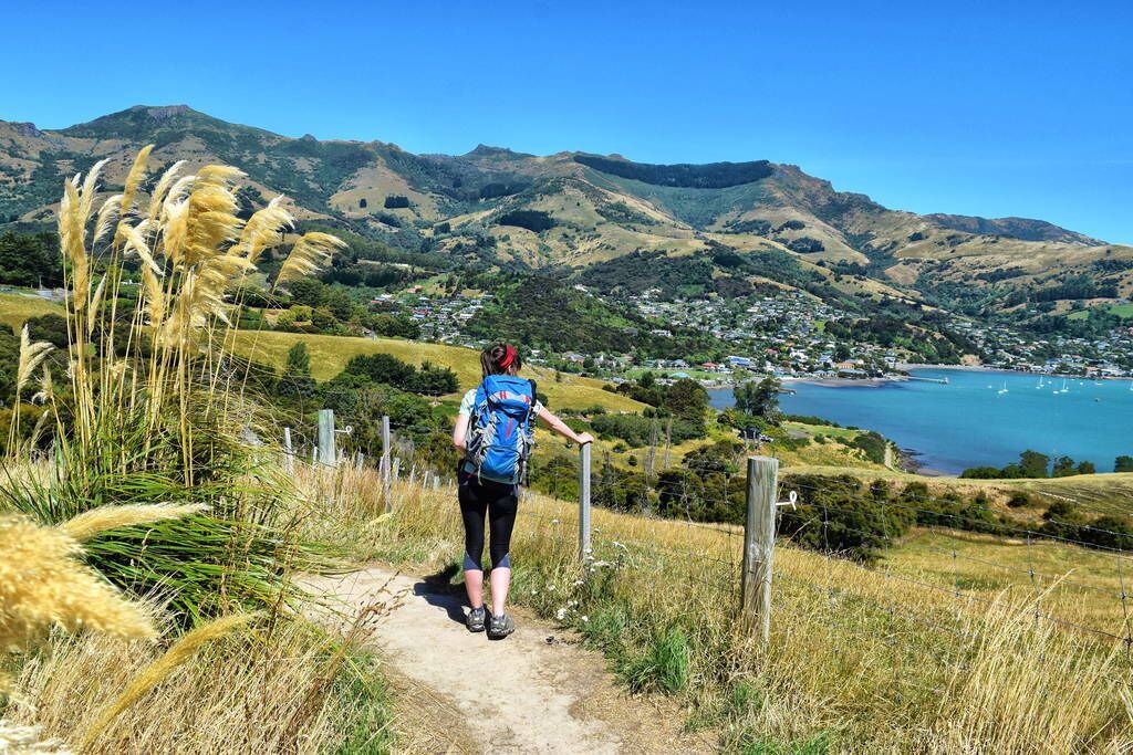 Photo of Others in Akaroa