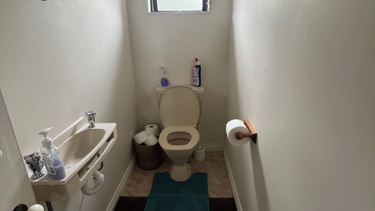 Photo of Bathroom in Tawa