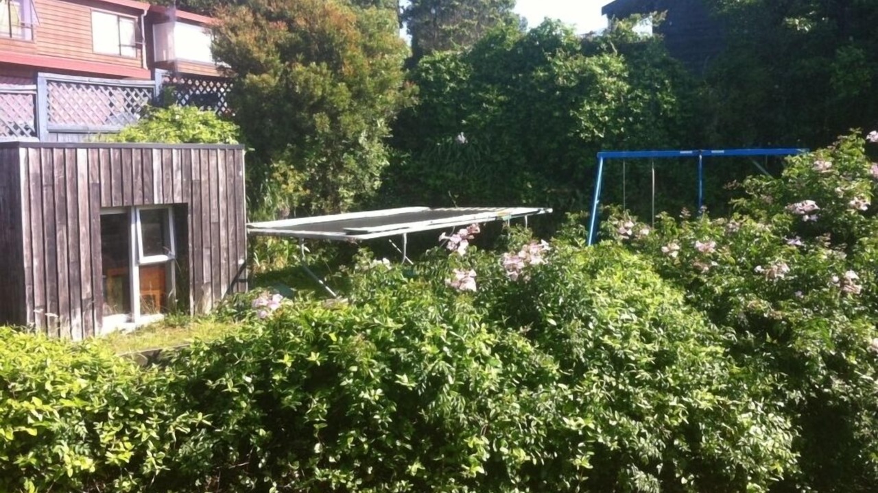 Photo of Outdoor in Tawa