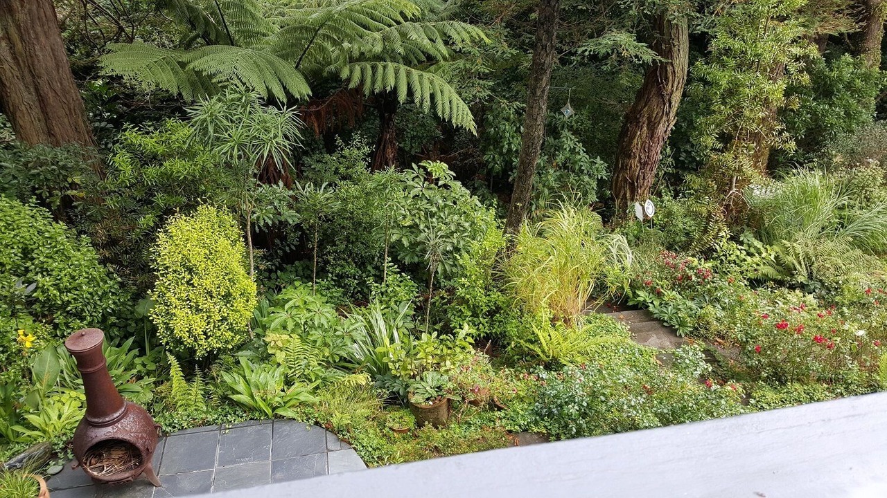 Photo of Outdoor in Johnsonville