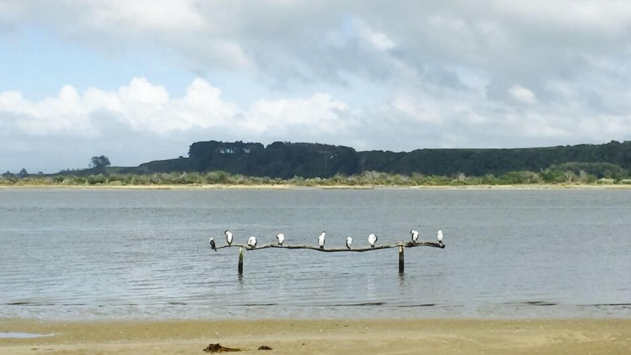 Photo of Others in Pukehina