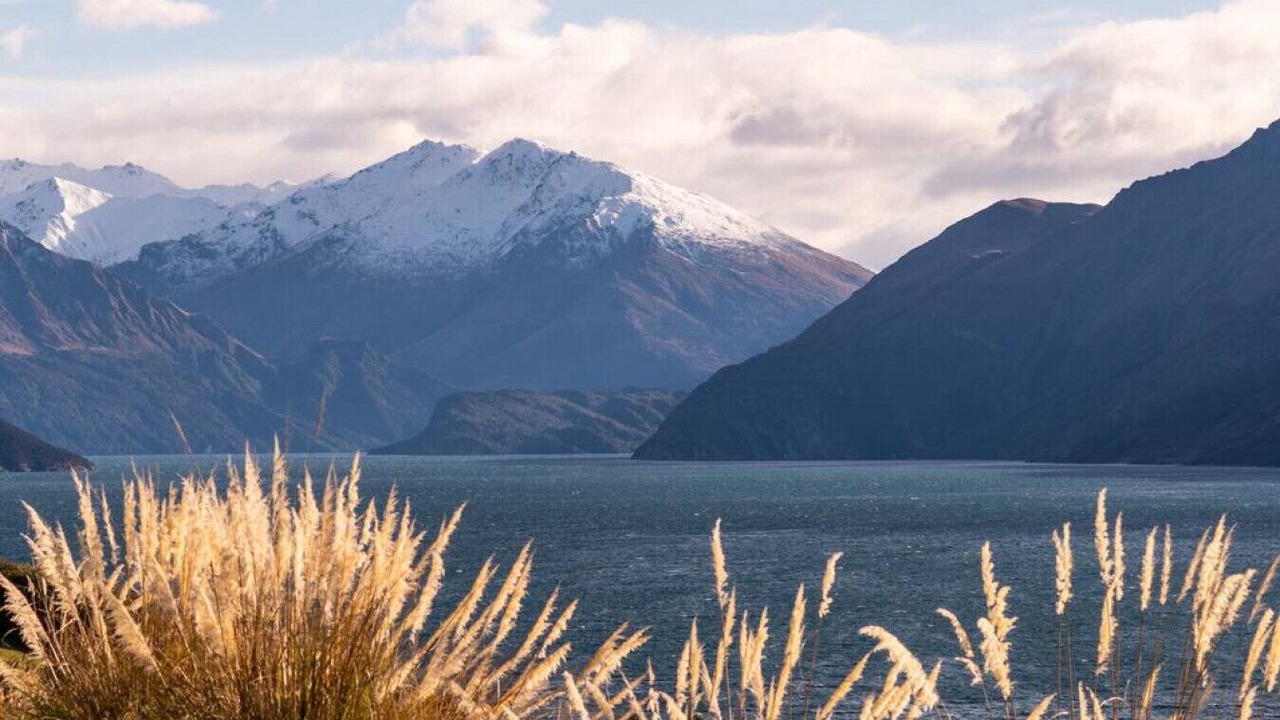 Photo of Others in Wanaka