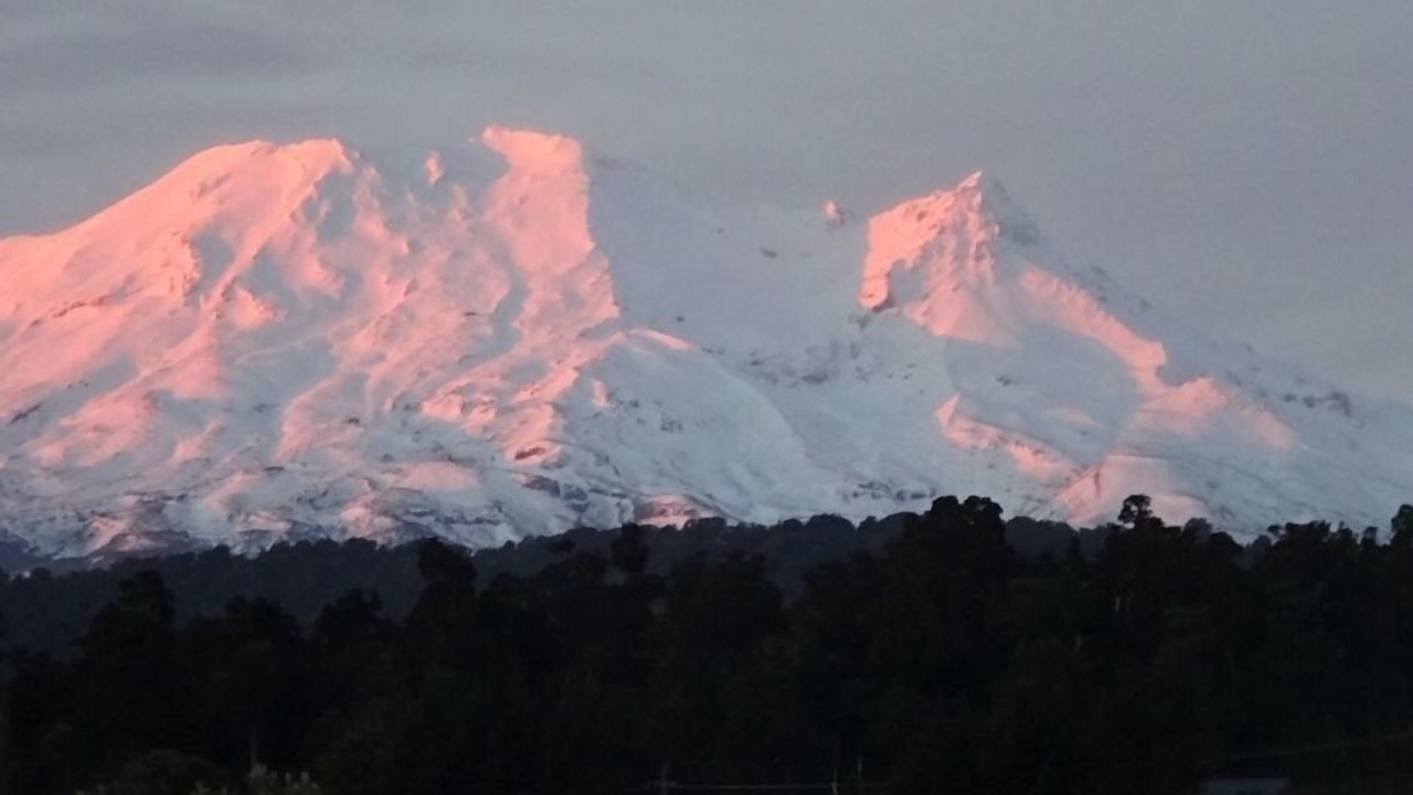 Photo of Others in Ohakune