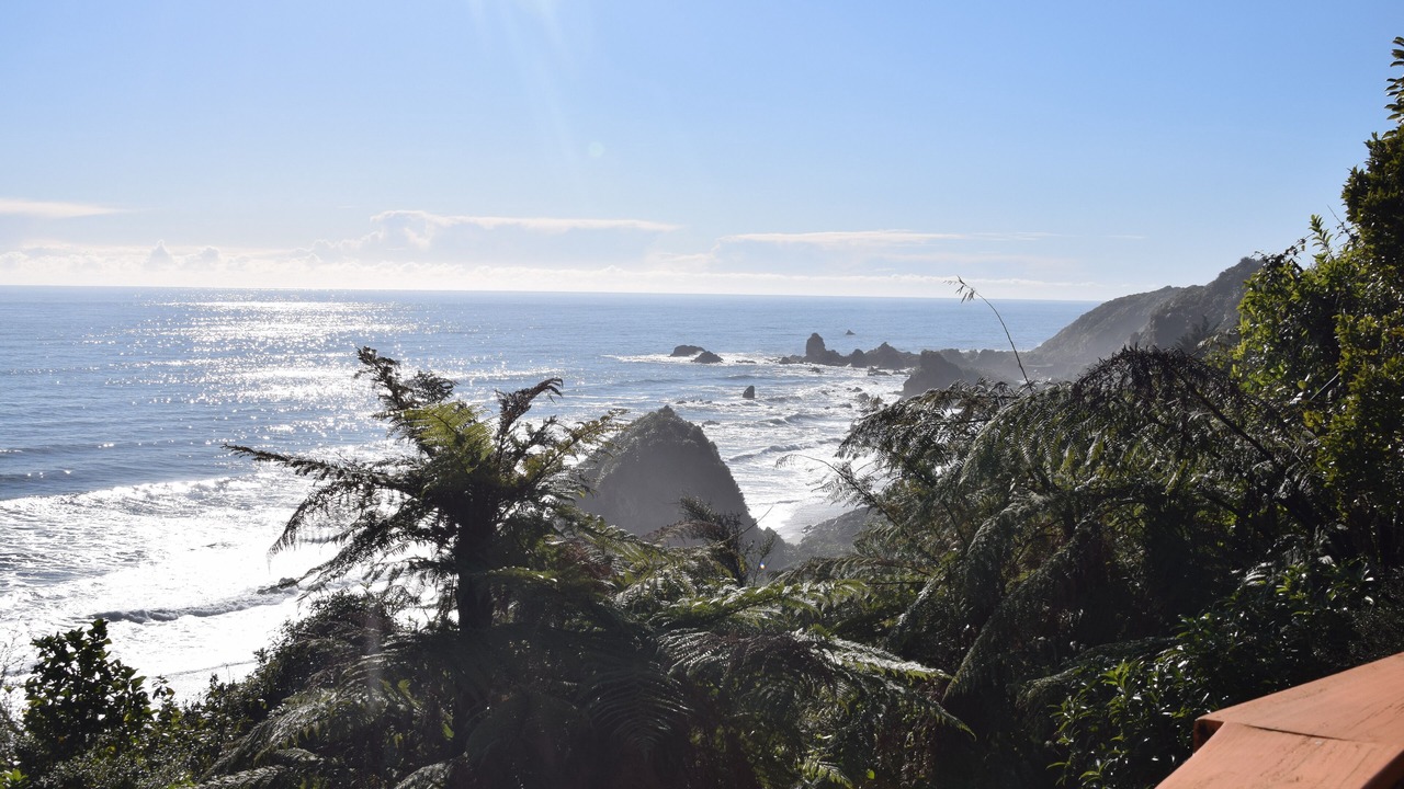 Photo of Others in Paparoa National Park