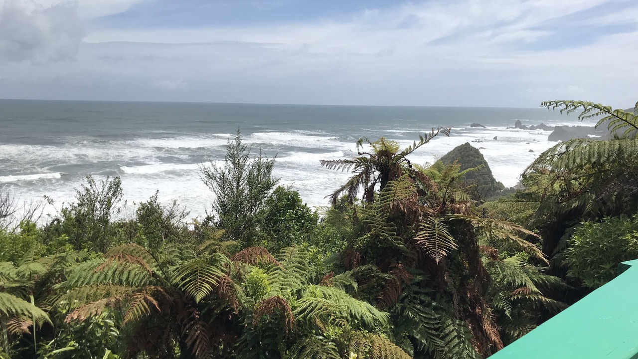 Photo of Outdoor in Paparoa National Park