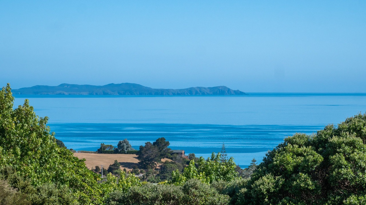 Photo of Others in Doubtless Bay
