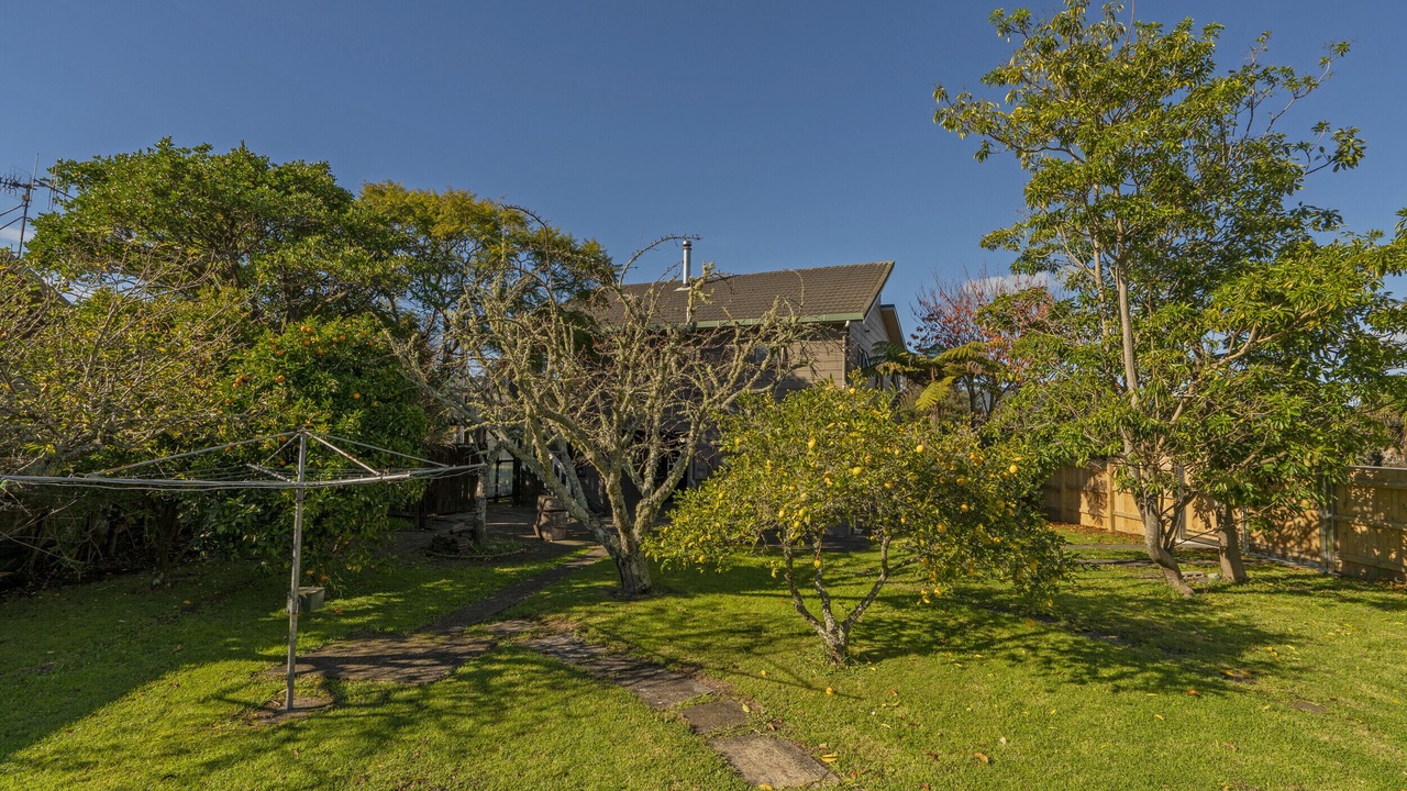 Photo of Outdoor in Tairua