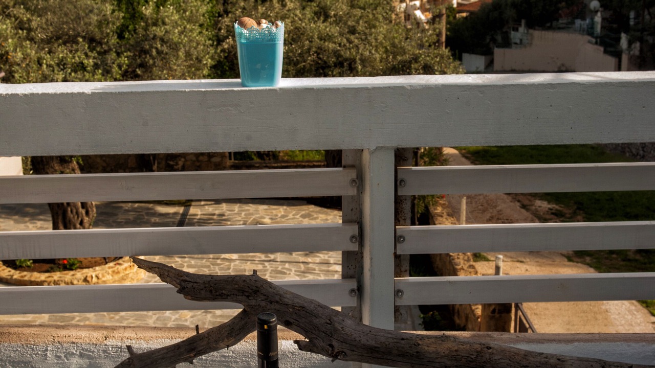 Photo of Outdoor in Chrisi Ammoudia