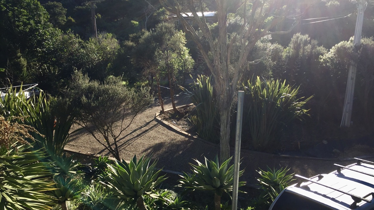 Photo of Others in Waiheke Island