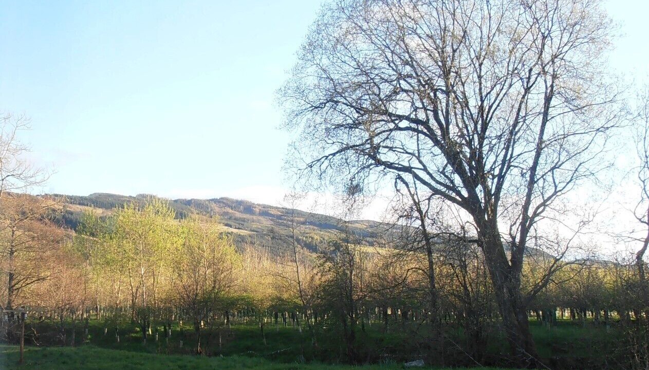 Photo of Others in Aberfeldy