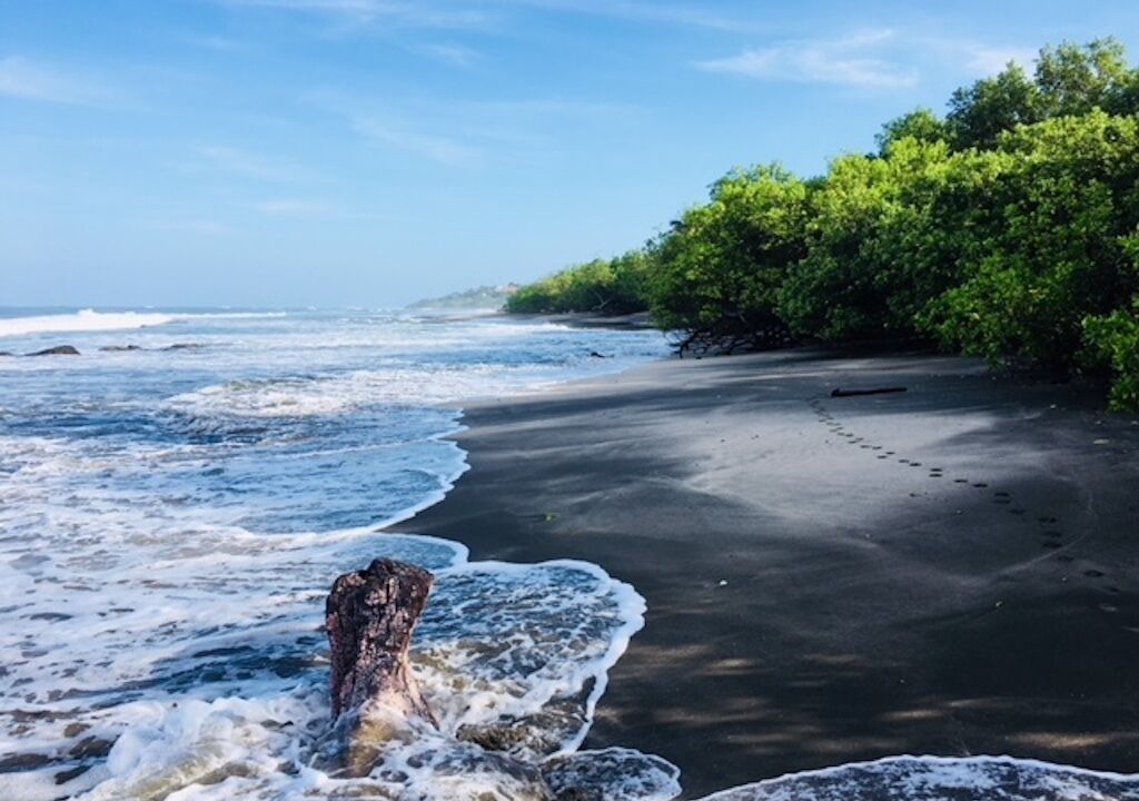 Photo of Others in Playa Negra