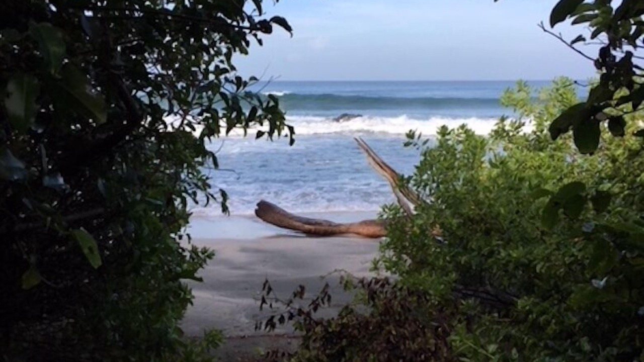 Photo of Others in Playa Negra