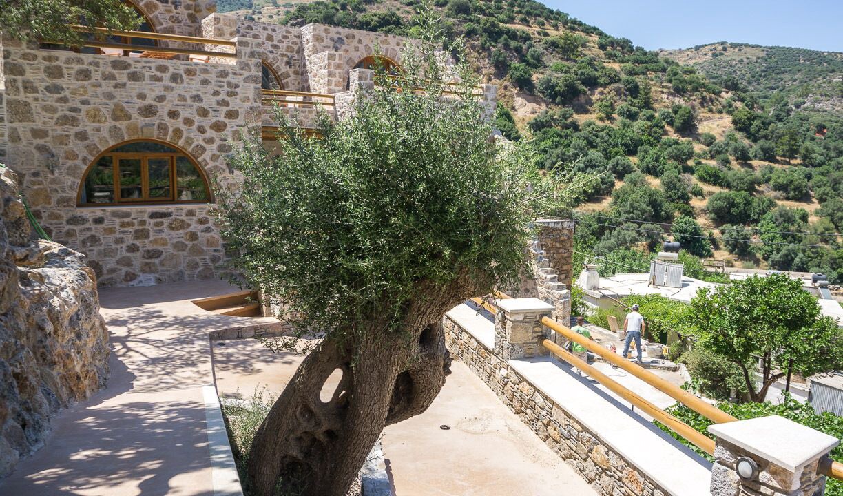 Photo of Outdoor in Moni