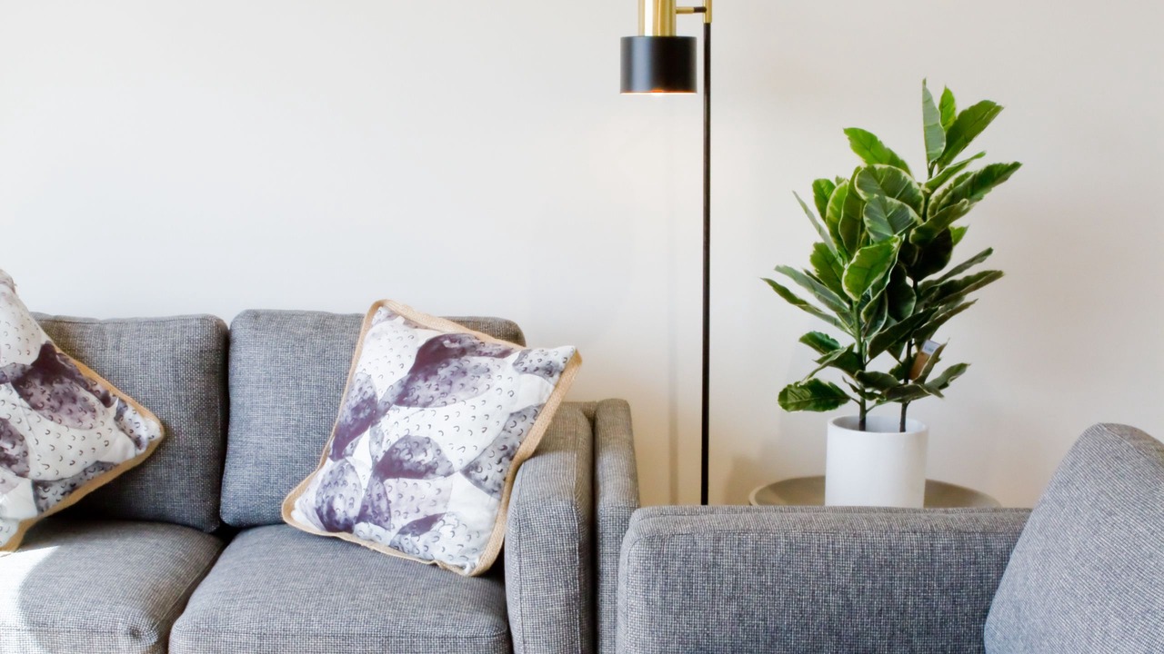 Photo of Livingroom in Waiheke Island