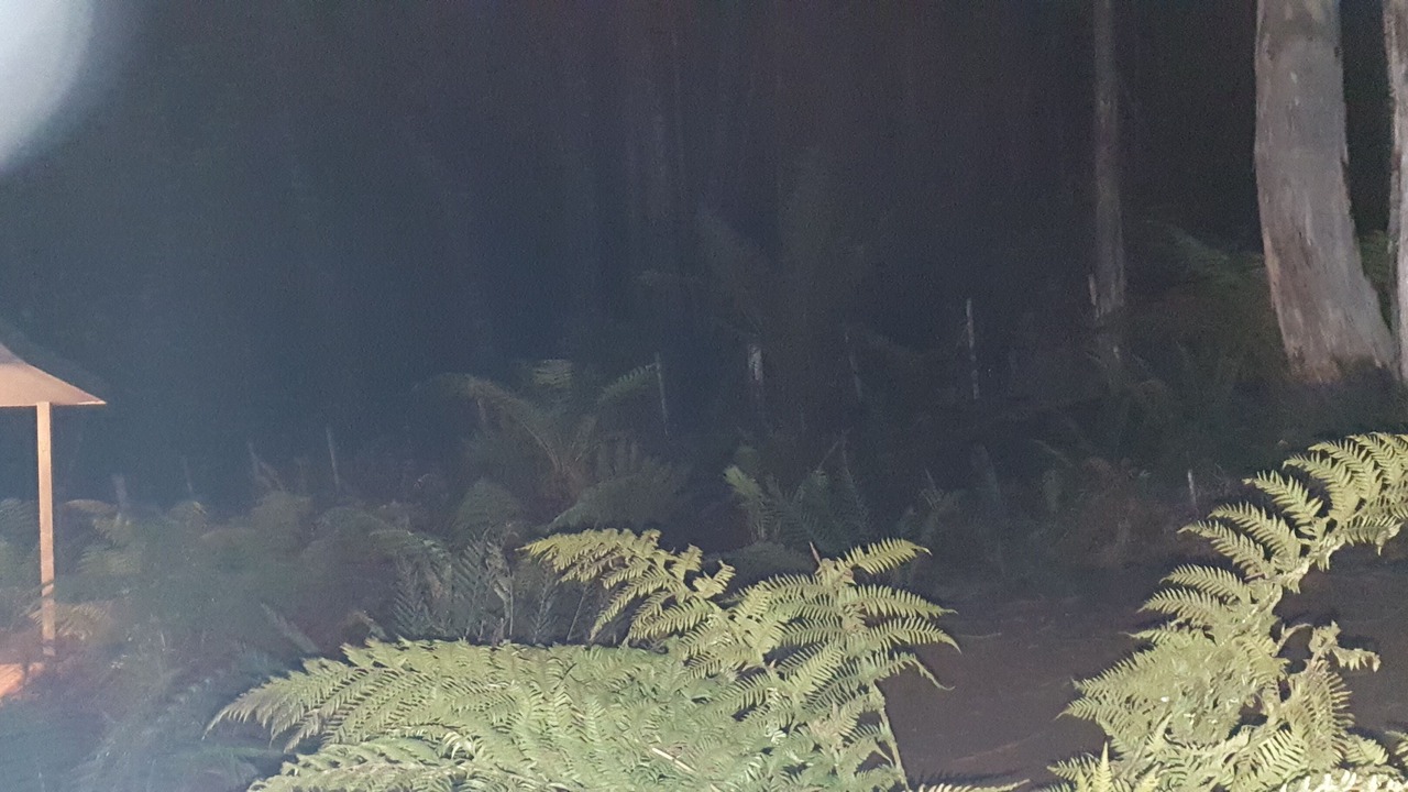 Photo of Outdoor in Moina