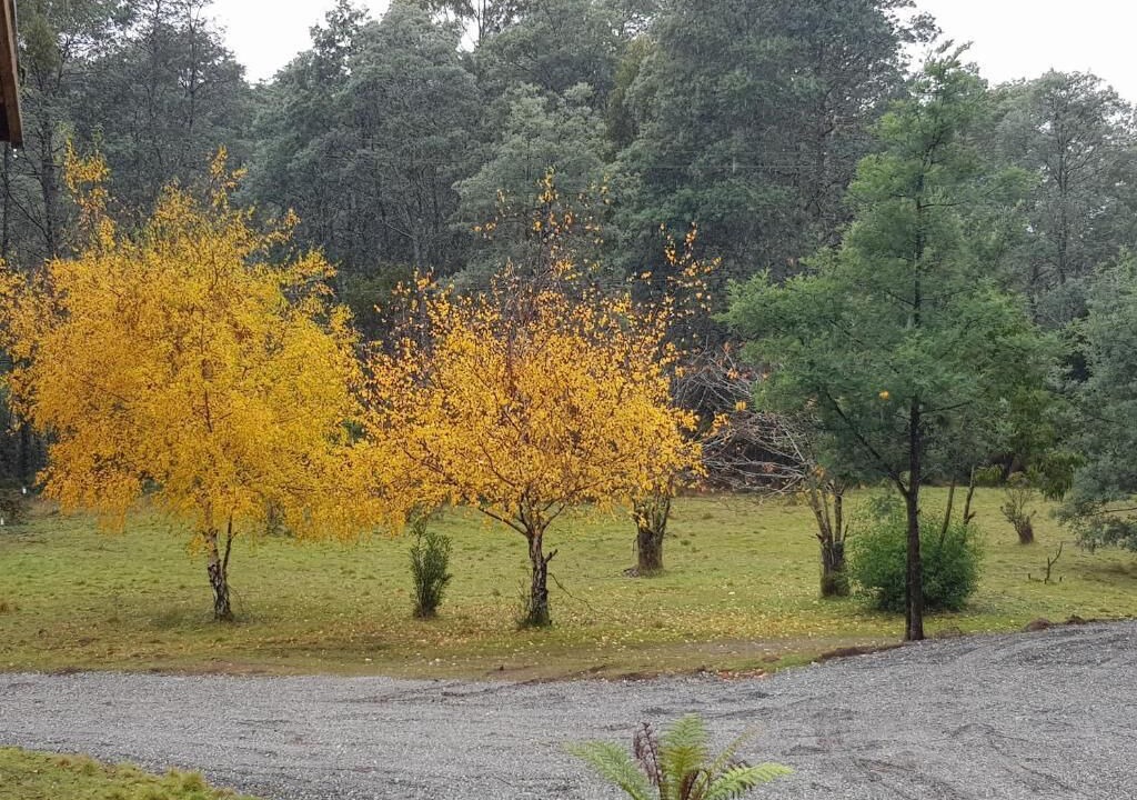 Photo of Outdoor in Moina