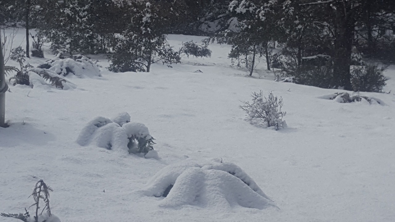 Photo of Outdoor in Moina