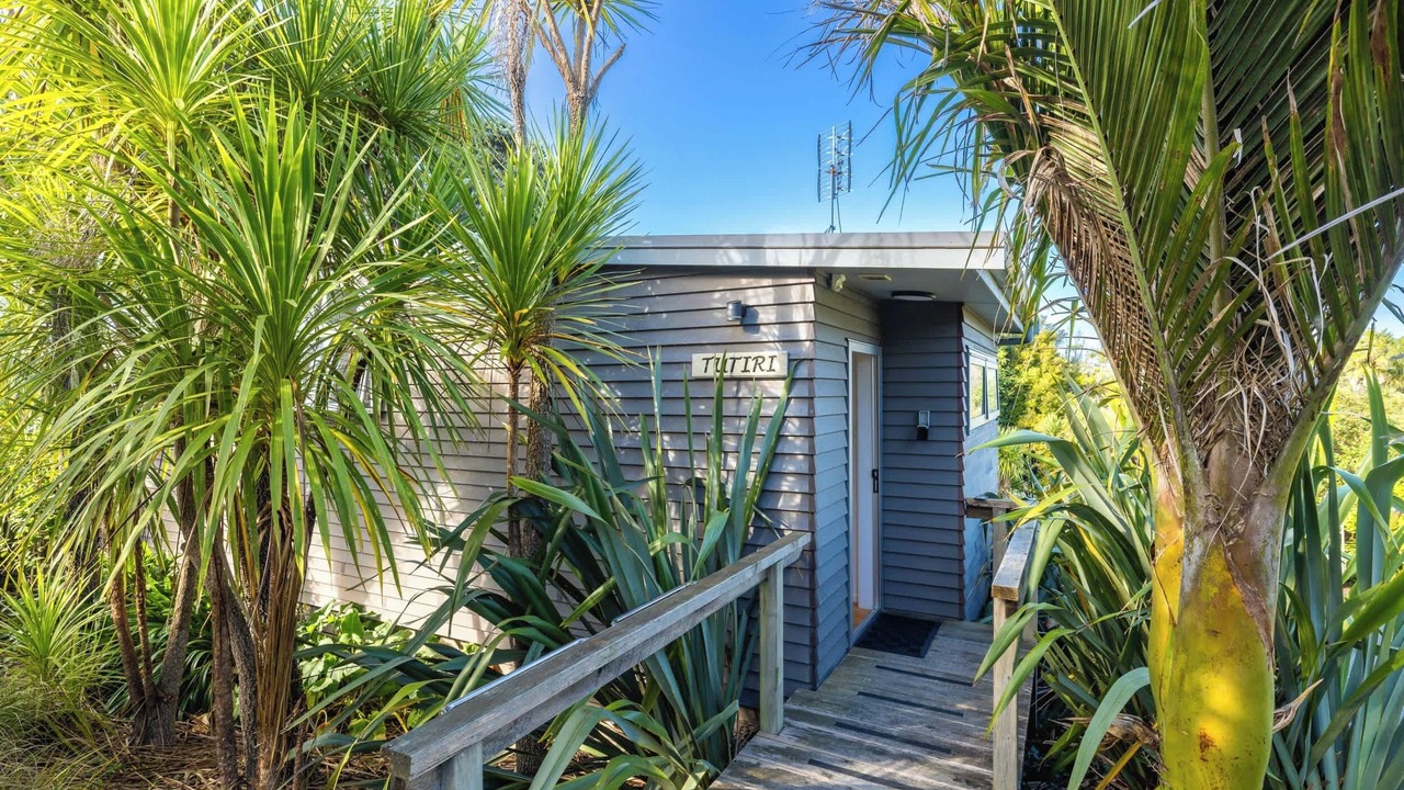 Photo of Outdoor in Oneroa