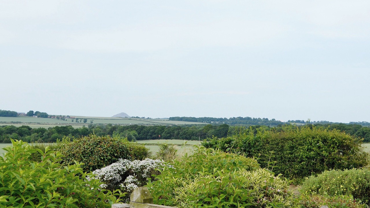Photo of Others in Haddington