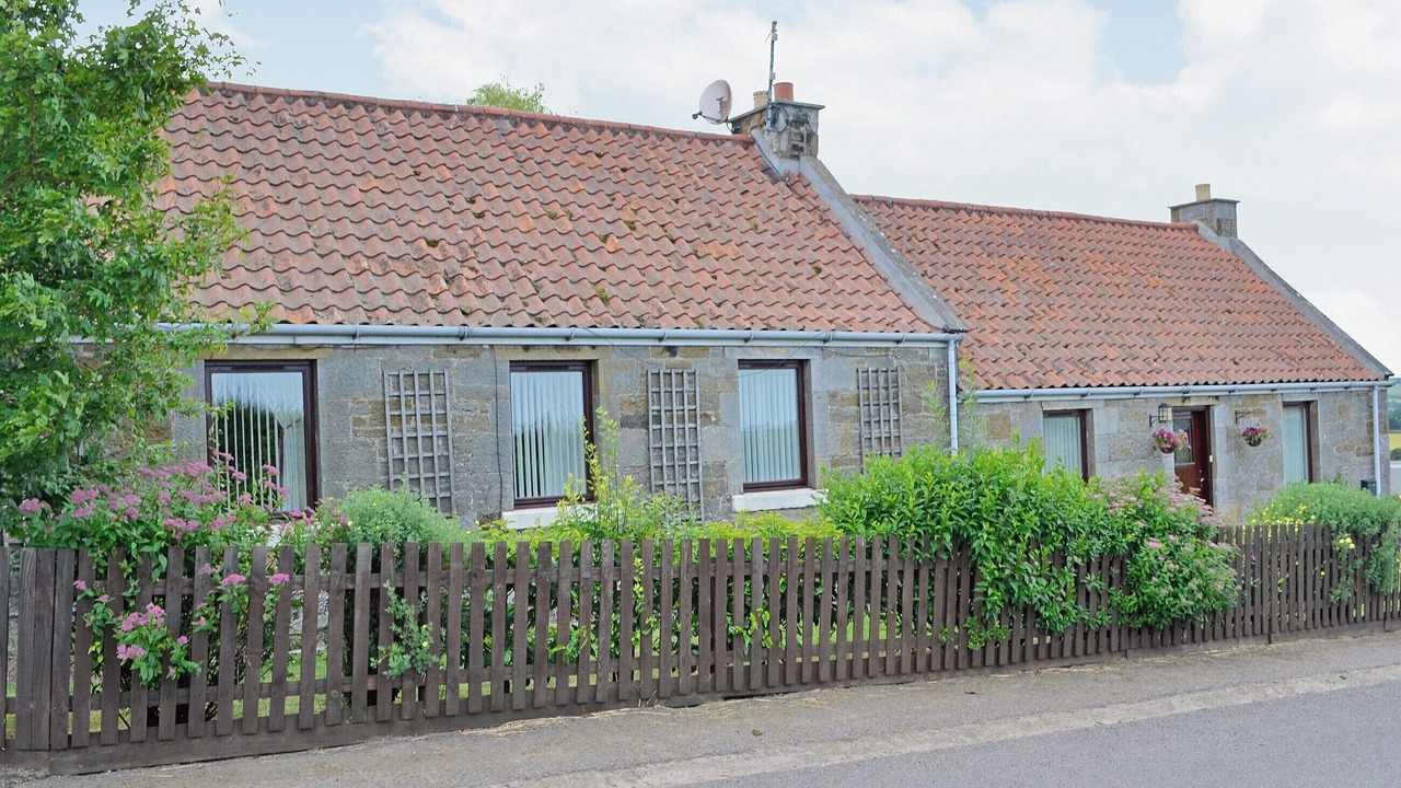 Photo of Others in Haddington
