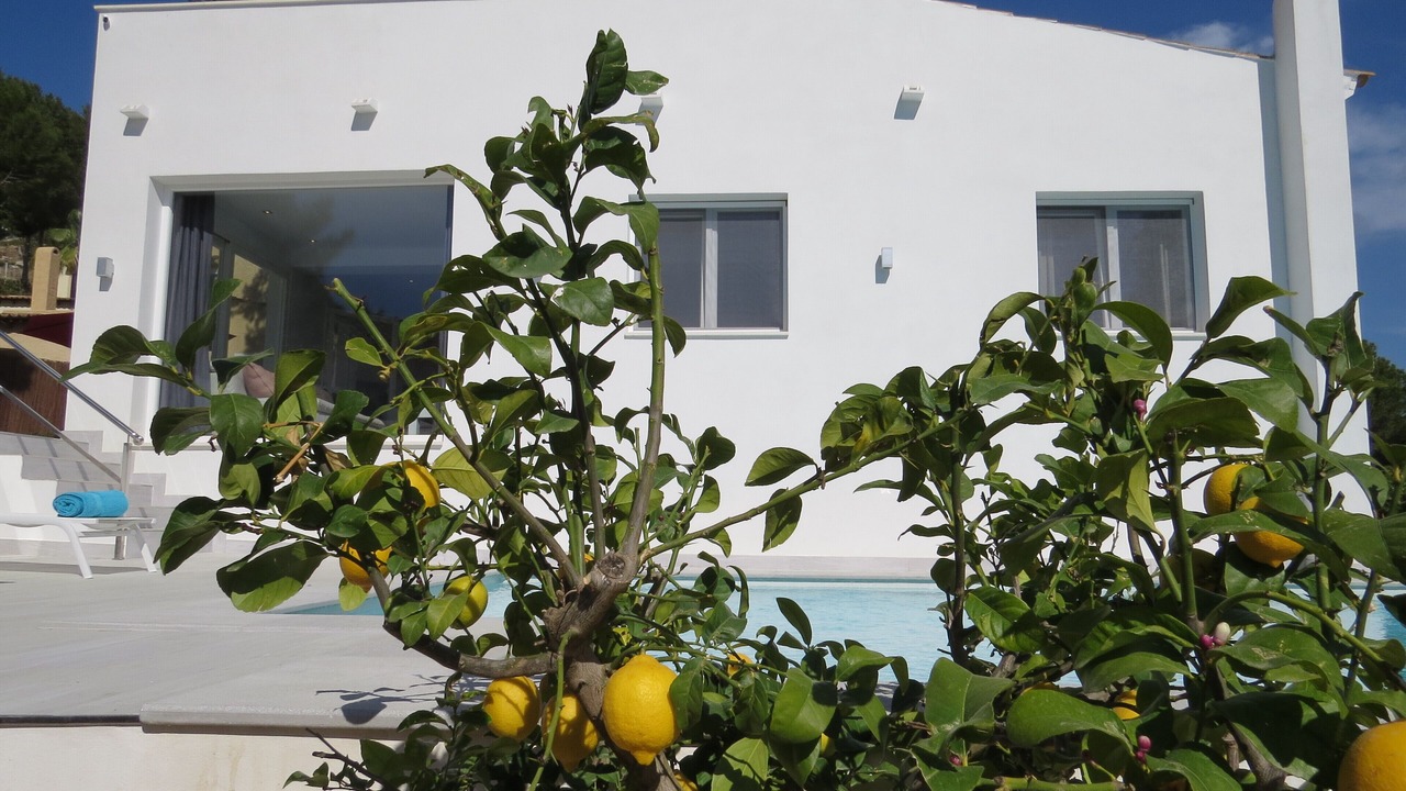 Photo of Outdoor in Ses Rotes Velles