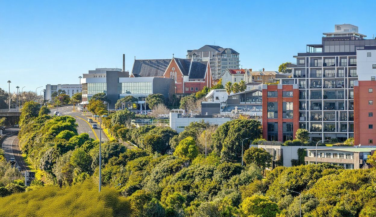 Photo of Others in Grey Lynn