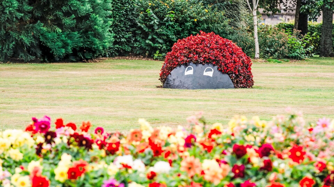 Photo of Outdoor in Forres