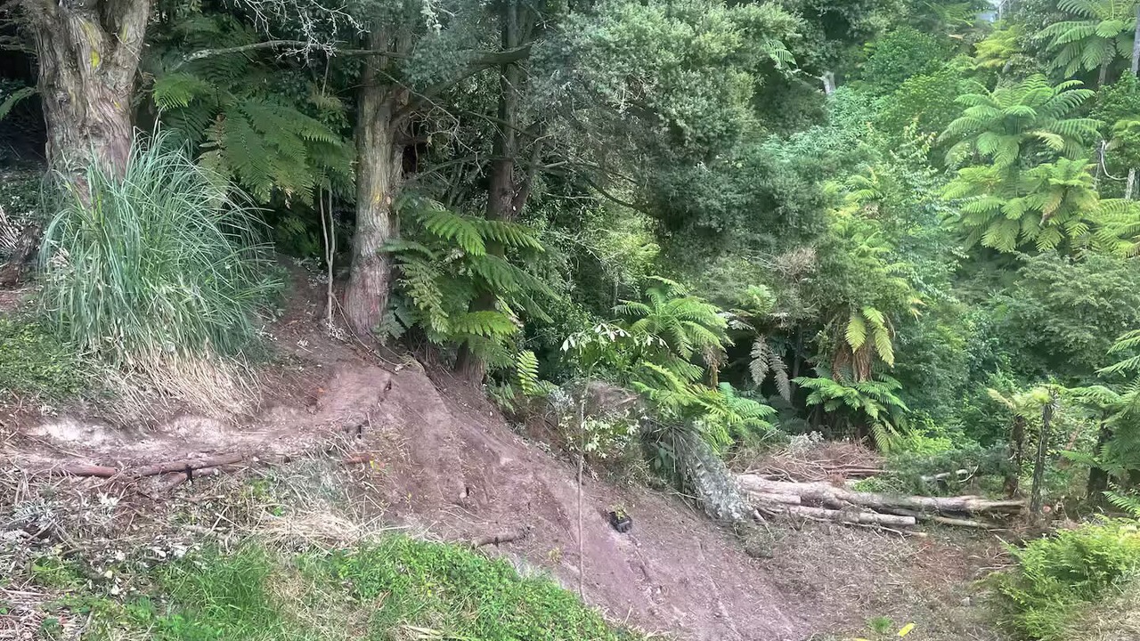 Photo of Others in Hamilton North