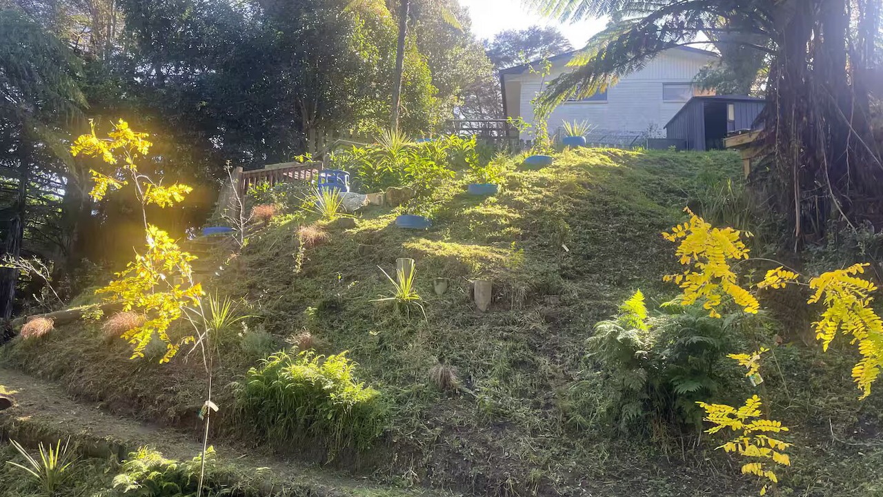 Photo of Outdoor in Hamilton North