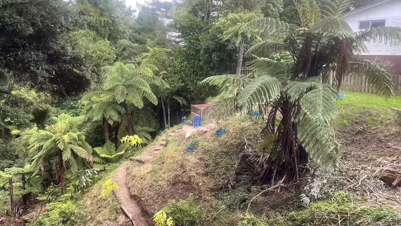 Photo of Outdoor in Hamilton North