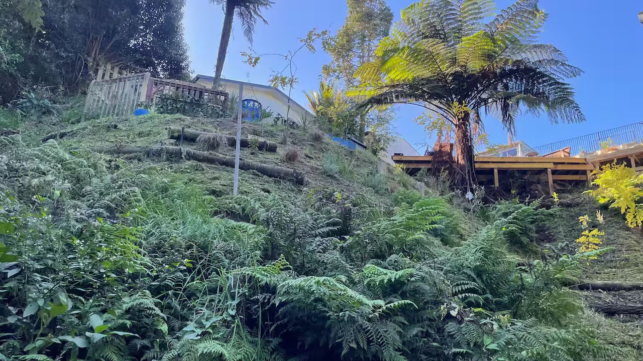 Photo of Outdoor in Hamilton North