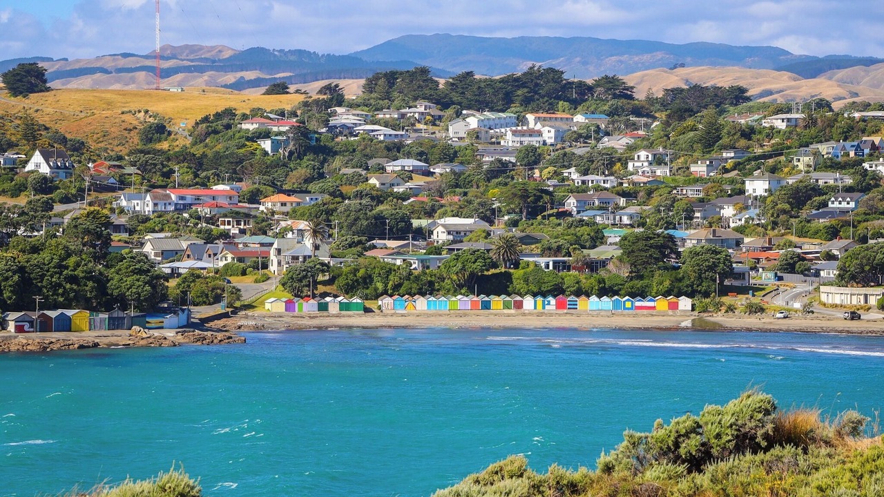 Photo of Others in Titahi Bay