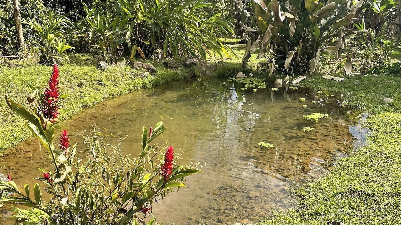 Photo of Outdoor in San Isidro de El General