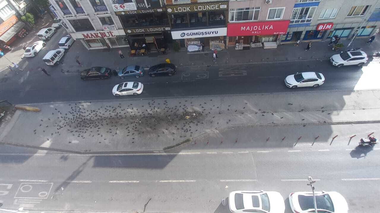 Photo of Others in Gaziosmanpasa