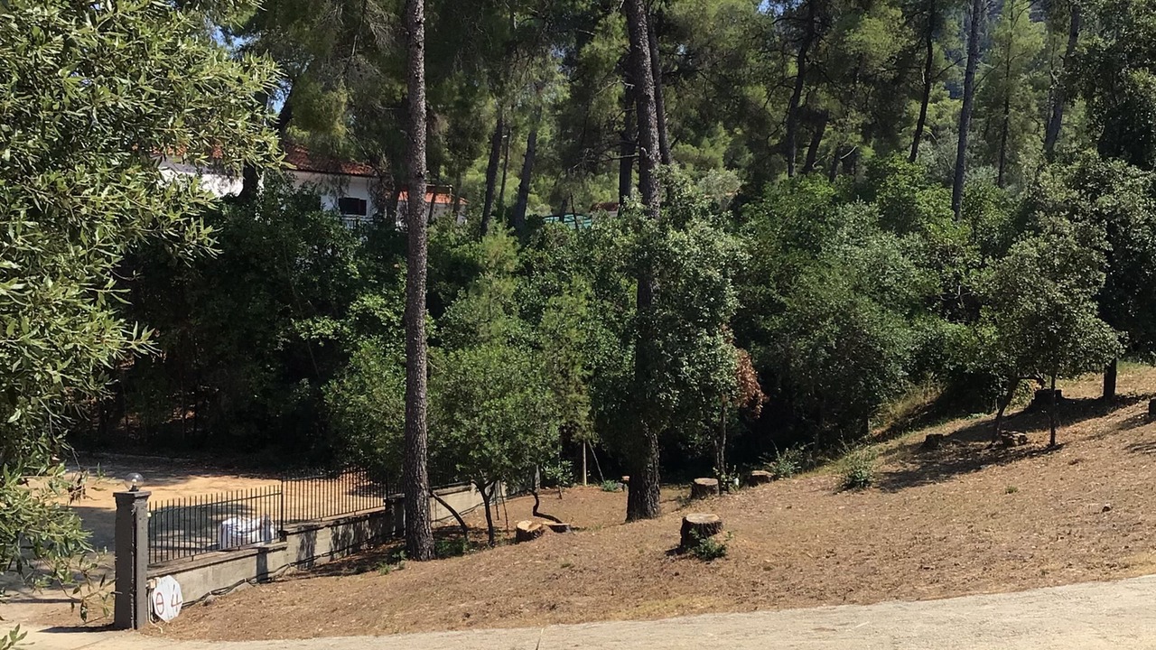 Photo of Outdoor in Vourvourou